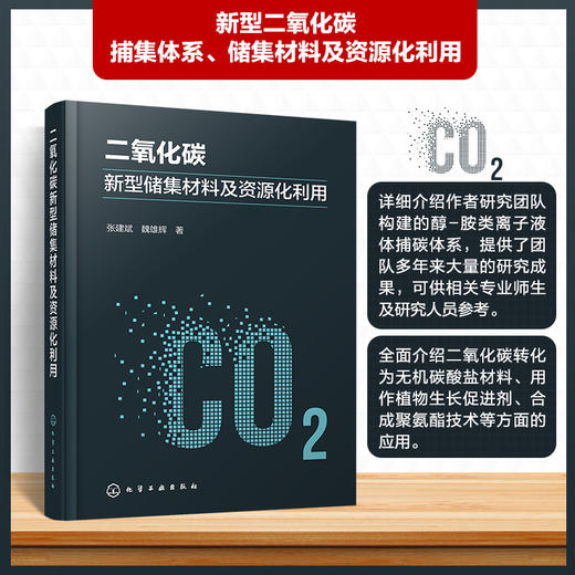 二氧化碳新型储集材料及资源化利用 商品图0