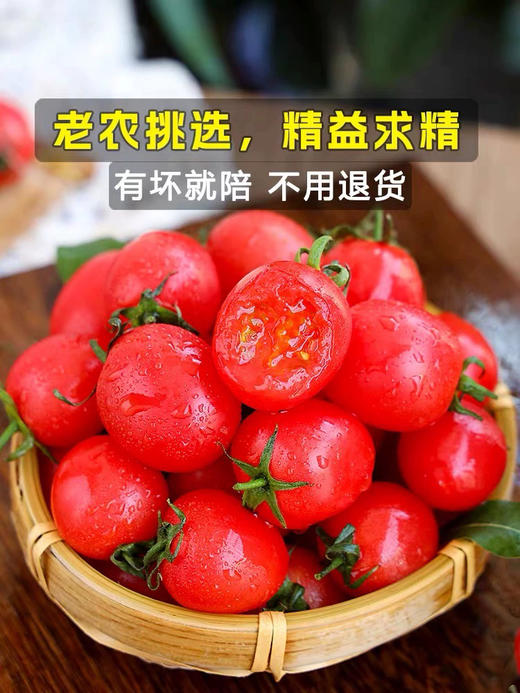 现货绿番茄西红柿小番茄新鲜2斤礼盒 商品图10
