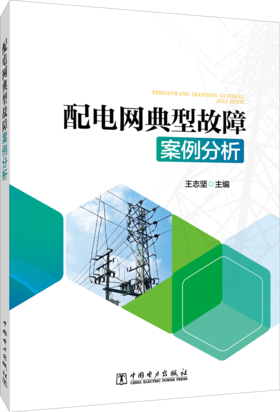 配电网典型故障案例分析