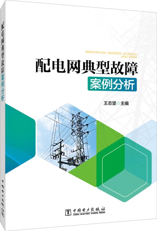 配电网典型故障案例分析 商品图0
