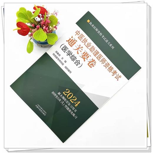 2024年中医执业助理医师资格考试通关要卷 医学综合 笔试卷子 吴春虎 执业医师资格考试通关系列 中国中医药出版社9787513284103 商品图2