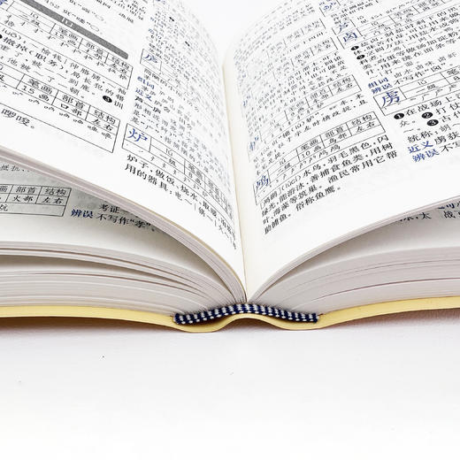 《学生全功能字典：精编大字本》 商品图5