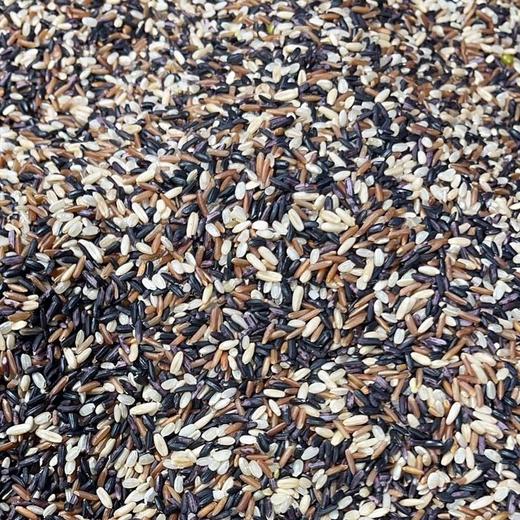 散称梦思香五色糙米约500g/份 商品图0