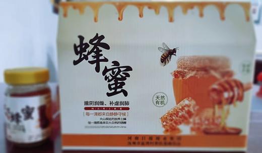 【报业集团定点帮扶庙湾村】山野土蜂蜜（500g*3瓶/提） 商品图0