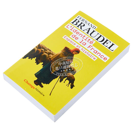 预售 【中商原版】法国的身份 卷1 法文原版 LIdentite de la France Espace et histoire T1 Fernand Braudel 欧洲历史 商品图1