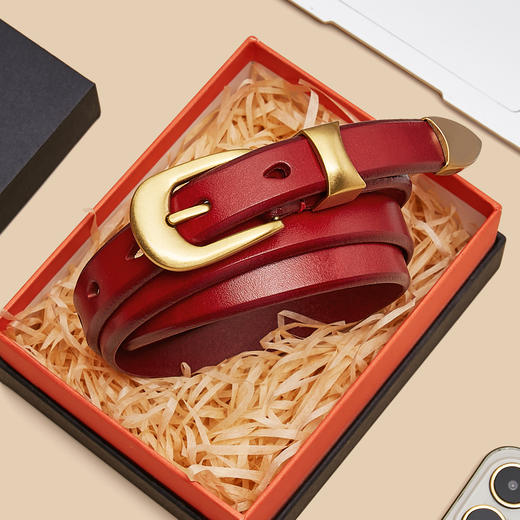 Safiya/索菲娅2024新品女士真皮细腰带 SF500093Y 商品图6