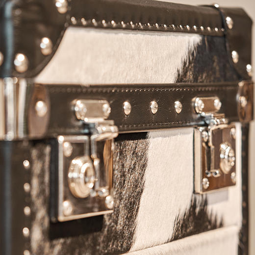 Sally 箱子边几 商品图4