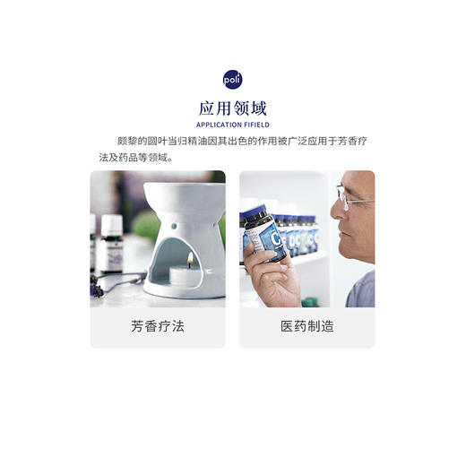 法国进口圆叶当归根精油原料进口圆叶当归根精精油颇黎法国进口精油 商品图1