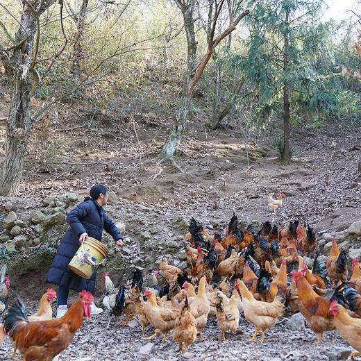 千岛湖山货大礼包 绿色家乡味 搞定一桌年夜饭 商品图6