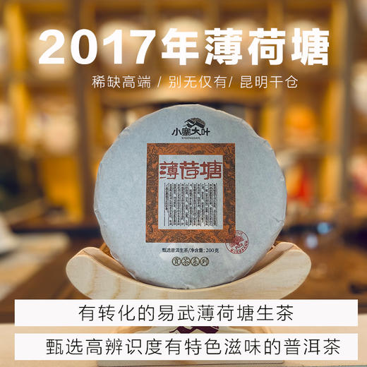 2017年薄荷塘头春普洱茶生茶200克 商品图0