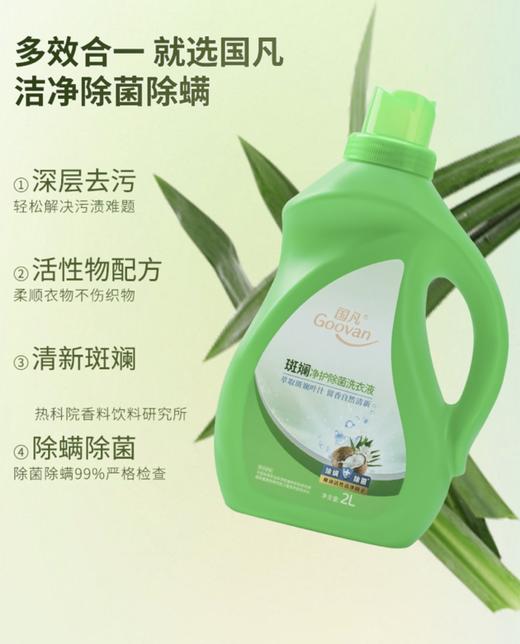 国凡斑斓净护除菌洗衣液/2L瓶*6 清洁去污柔顺洗护除菌除螨护衣亮色 商品图4