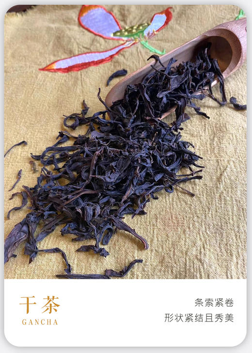 凤凰单丛 | 2024年春茶 宋茶荟 初恋蜜兰香100g/罐  商品图2