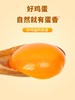 津农精品 五大湖欧米伽3鲜鸡蛋40枚(箱) 商品缩略图1