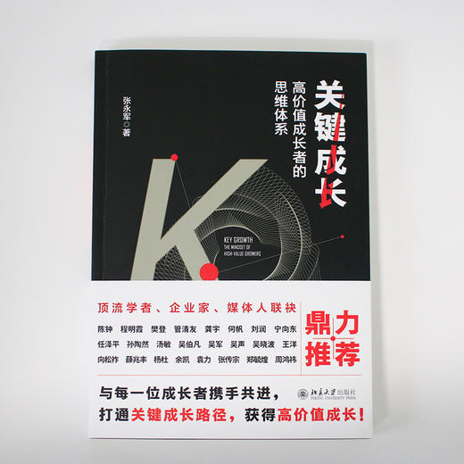 关键成长：高价值成长者的思维体系 张永军 著 北京大学出版社 商品图2