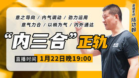 陆功翰大讲堂第十六期——“内三合”正轨（意气力之使用）