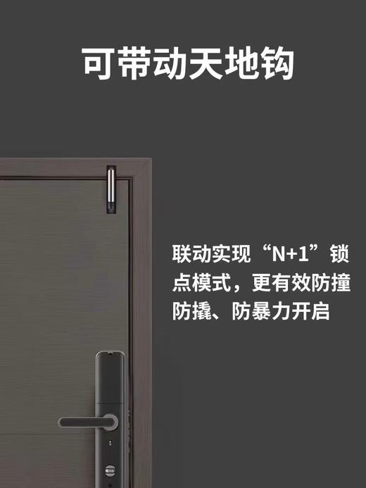 德施曼指纹锁E16【CS】 商品图2