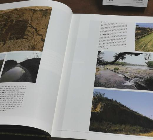 特惠！！中华五千年文化系列：《秦汉文化》《隋唐文化》，精装函套全六册，8开，陈全方主编，学林出版社2008年一版，分别定价：450,380，分别售价：118,98元。 商品图6