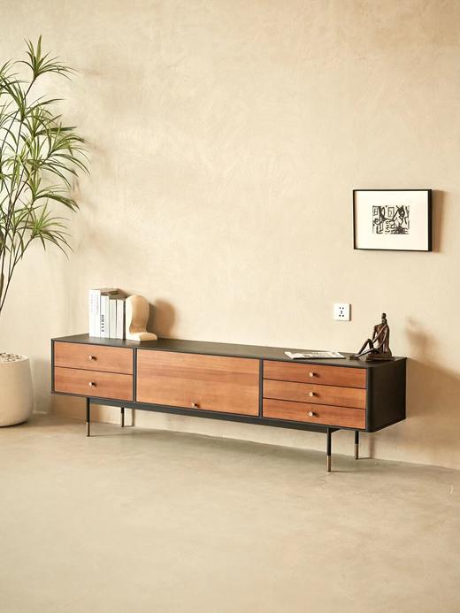 Zenith 电视柜 商品图5