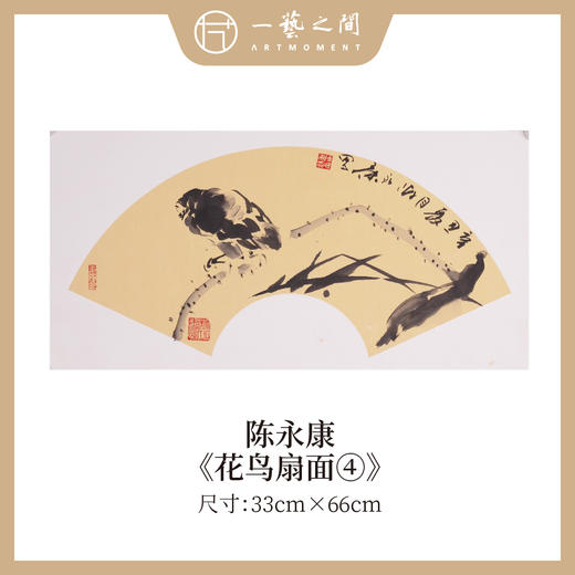 陈永康2平尺扇面花鸟小品 镜片卡纸 33x66CM 手绘纸本宣纸原作作品 本期直播特供6张，优惠售完即止！[现货包邮] 商品图3