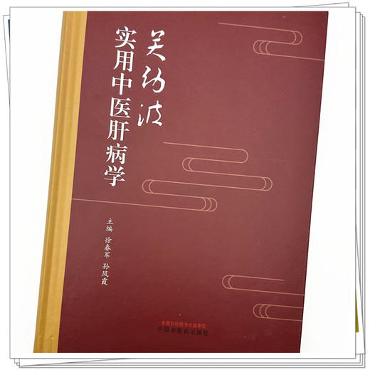 关幼波实用中医肝病学 徐春军 孙凤霞 主编 中国中医药出版社 中医临床 书籍 商品图3