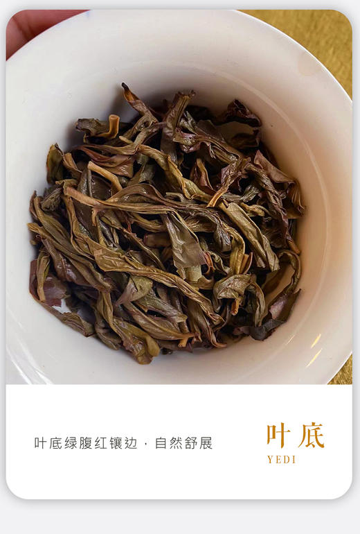 凤凰单丛 | 2024年春茶 宋茶荟 初恋蜜兰香100g/罐  商品图5
