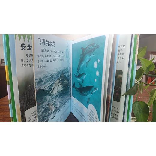 DK动物宝宝小百科 商品图1