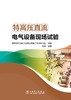 特高压直流电气设备现场试验 商品缩略图1