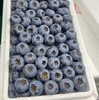 【满150元全疆包邮】花香蓝莓（500g） 商品缩略图0