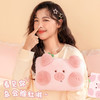 「数色可选！萌绒过冬」天虹电热水袋腮红动物卡通居家日用电热暖手宝水电分离暖手袋 商品缩略图3