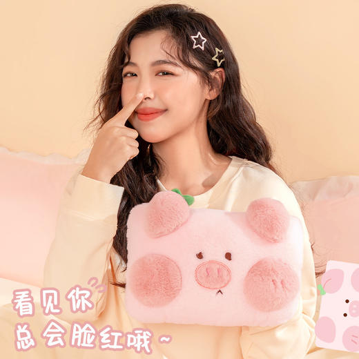 「数色可选！萌绒过冬」天虹电热水袋腮红动物卡通居家日用电热暖手宝水电分离暖手袋 商品图3