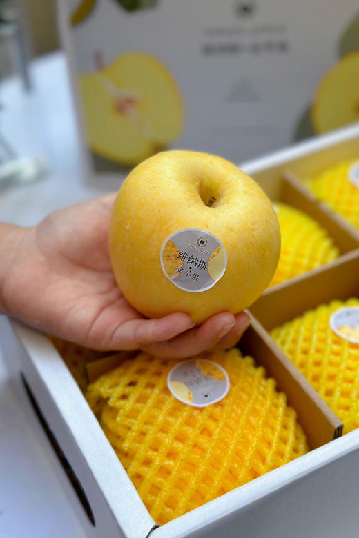 山东维纳斯金苹果 商品图4