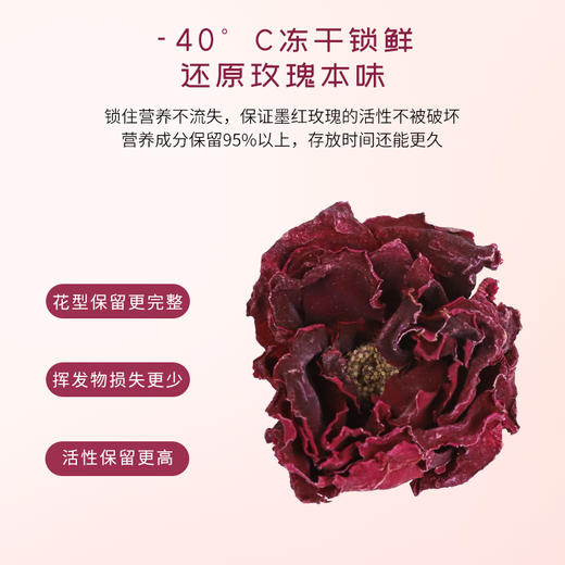 香港宝芝林 墨红玫瑰 冻干锁鲜 口感清甜 90g/罐 商品图3