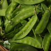 生态荷兰豆 | 绿家自产 * Eco-snow pea | Self-production 商品缩略图0