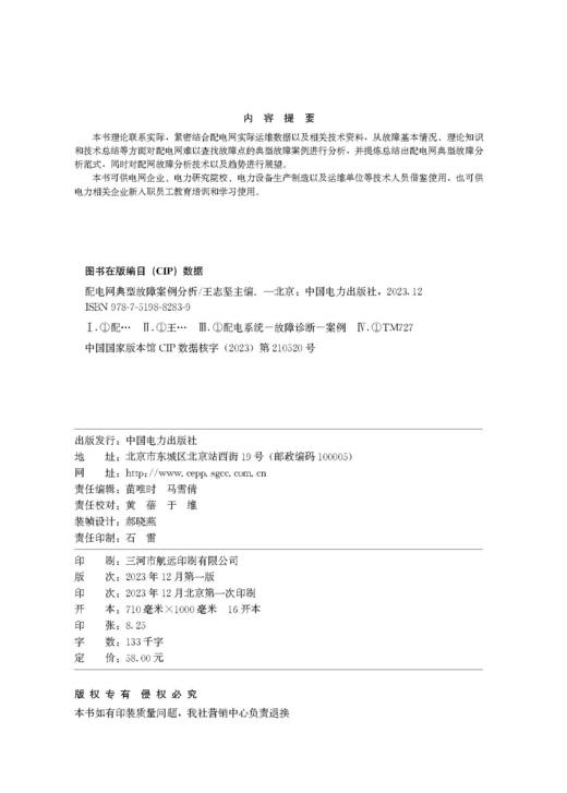 配电网典型故障案例分析 商品图3