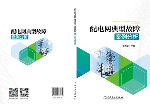 配电网典型故障案例分析 商品图2