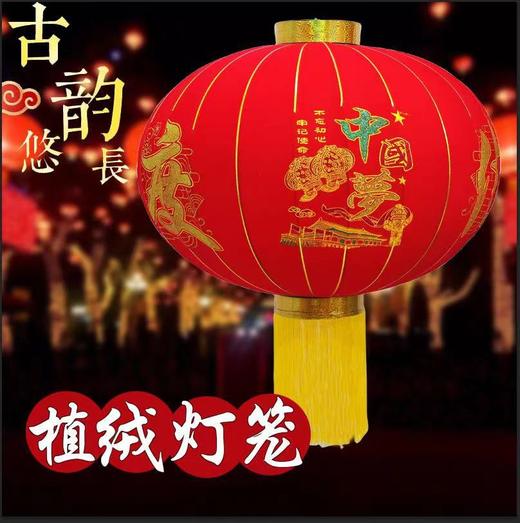 【新年新气象❗️户外红灯笼】2025蛇年红灯笼植绒灯笼大灯笼 户外红灯笼挂饰乔迁新年装饰品阳台 商品图3