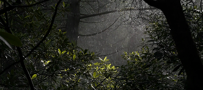 婚姻里：三流女人重情，二流女人重家，一流女人...