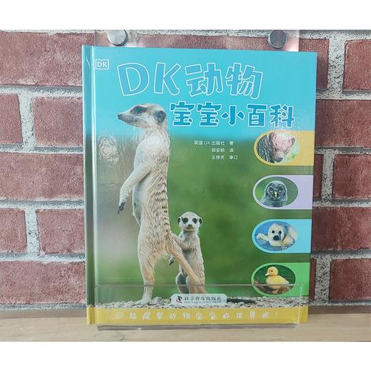 DK动物宝宝小百科 商品图3
