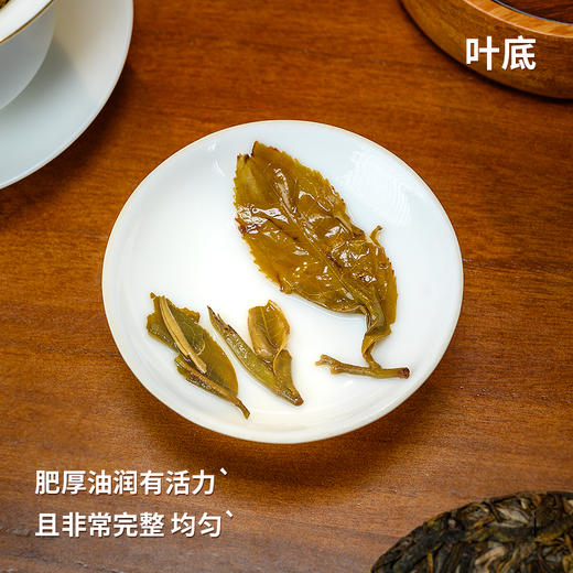 懂茶帝优选曼糯-2021年普洱茶生茶（100克） 商品图3