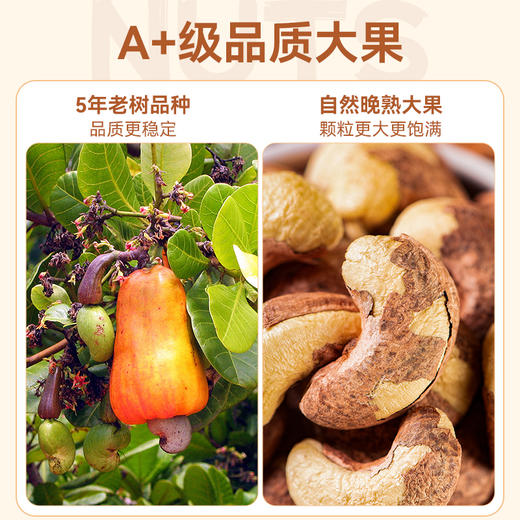 【推荐】海于唱 鲜香酥脆营养美味臻选级紫皮腰果258克罐装 A+级品质大果 优中选优5% 商品图1