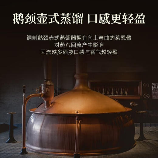 苏格兰原瓶进口路易高登洛诗威士忌双支礼盒礼袋装洋酒 商品图5
