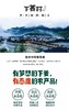 乡村振兴 下姜村 山茶油 500ML*2礼盒 商品缩略图7