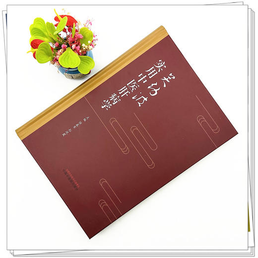 关幼波实用中医肝病学 徐春军 孙凤霞 主编 中国中医药出版社 中医临床 书籍 商品图1