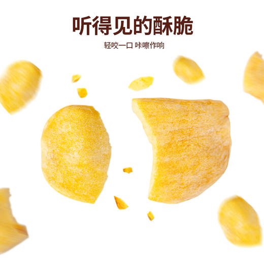 越南榙榙综合蔬果干/菠萝蜜干200g 听的见的酥脆颗颗香甜浓郁 058484/058483 商品图2