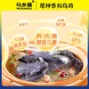 【泰和原种乌鸡】乌乡基泰和原种乌鸡  林下散养  滋补佳禽 日龄200天/400天 整只 商品缩略图5