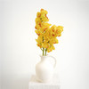 大花惠兰 Cymbidium（全国配送） 商品缩略图9