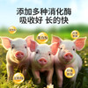 【社群专享】华畜山楂酵母益生菌开胃益生菌兽用瘤胃宝猪牛羊反刍动物开胃健胃 商品缩略图4