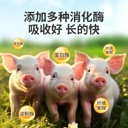 【社群专享】华畜山楂酵母益生菌开胃益生菌兽用瘤胃宝猪牛羊反刍动物开胃健胃 商品图4