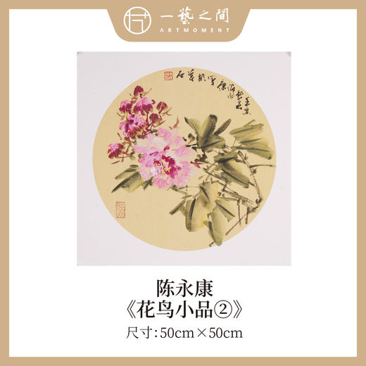 陈永康斗方50X50CM约2.3平尺 花鸟小品 镜片卡纸 ！手绘纸本宣纸原作作品 本期直播特供仅4张，售完即止！[现货包邮] 商品图1