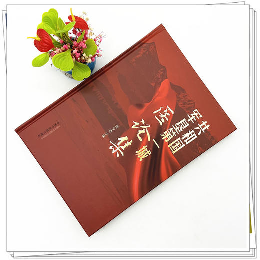 共和国军垦第一城医论集 袁今奇 主编 中国中医药出版社 商品图1